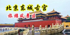美腿丝袜三级片中国北京-东城古宫旅游风景区